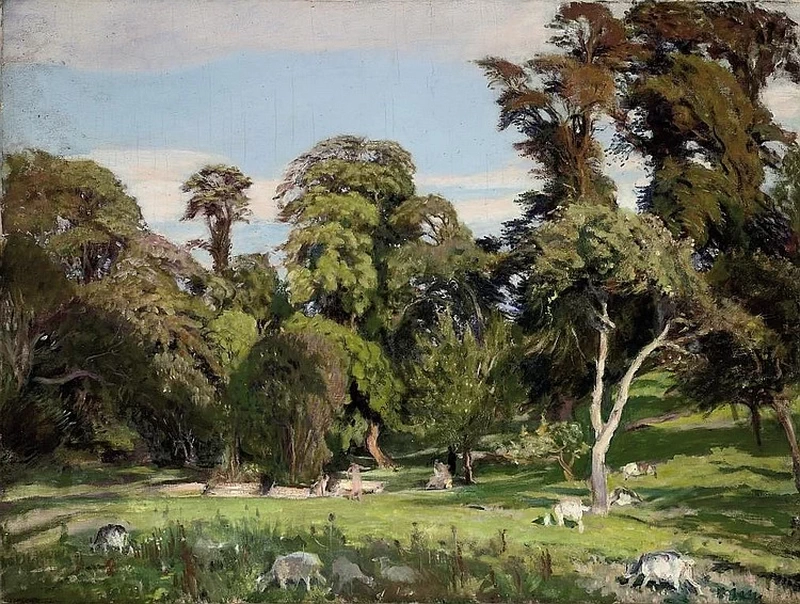 La radura